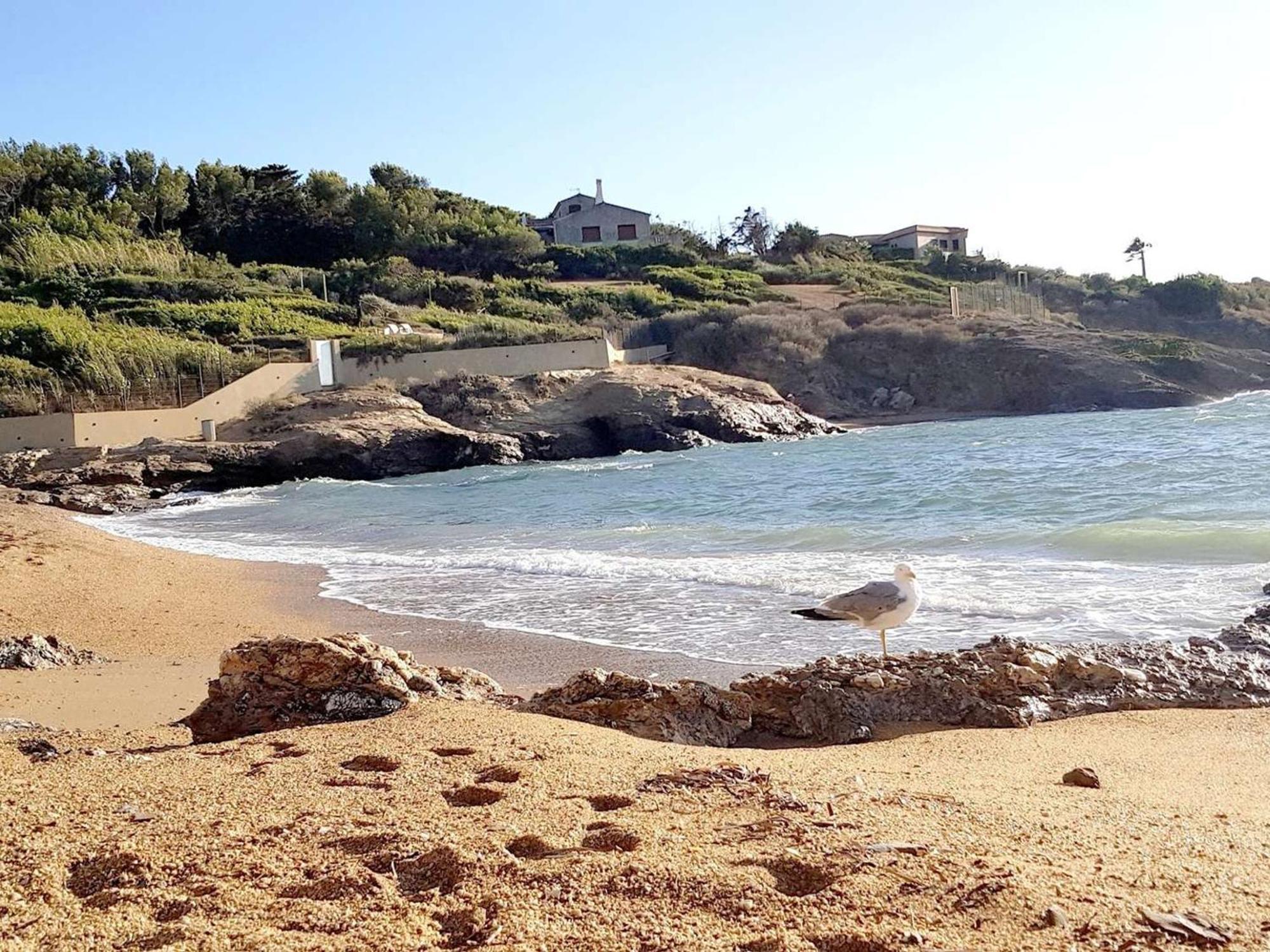 T3 Climatise Avec Jardin, Parking Prive, A 400M De La Plage Et Commerces - Fr-1-316-230 Six-Fours-les-Plages Exterior foto